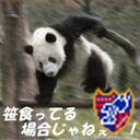 ダニーロ
