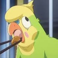 インコ