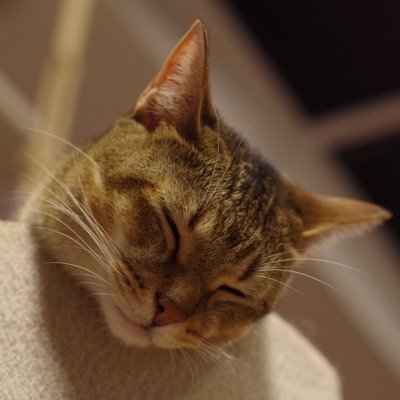 うさみ