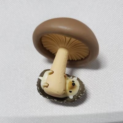 トキハ