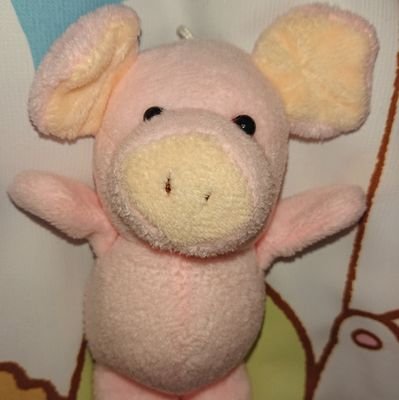 いづみ