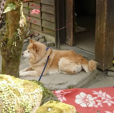 仮面職人@