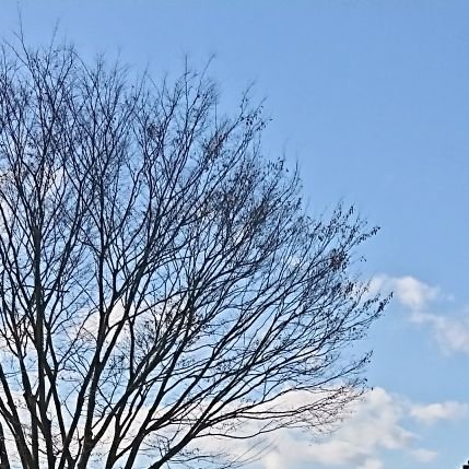 あきひ
