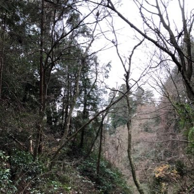 えやす