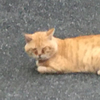 hyottoko