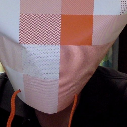 m(_ _)m