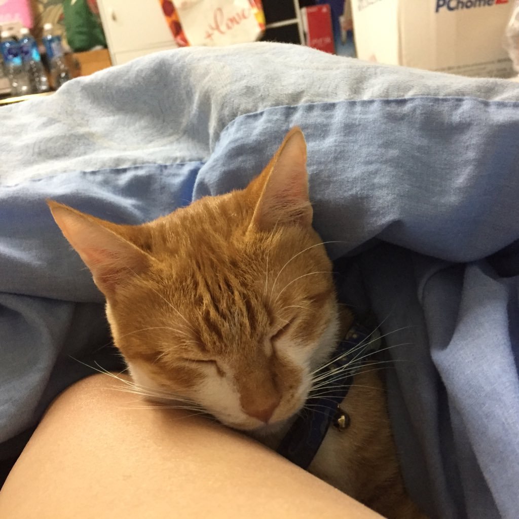 楽しく生きたいだけ。