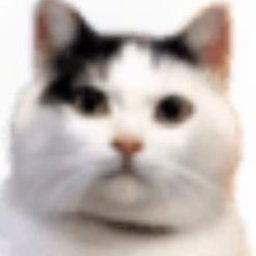 伊藤ロドリゲス