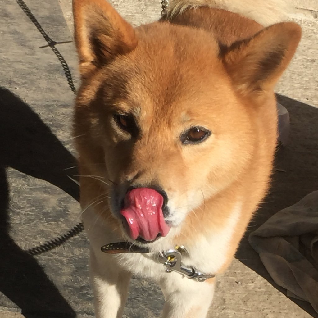 樋口