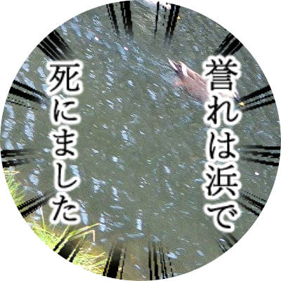 焼石