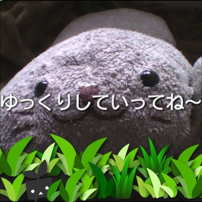 バンジョーとゆ～すけ