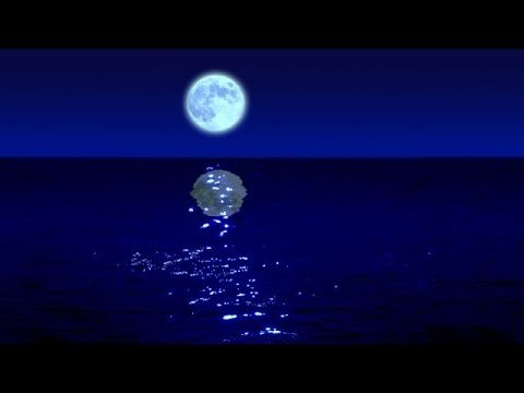 海月
