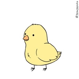 けいと