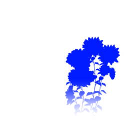 う