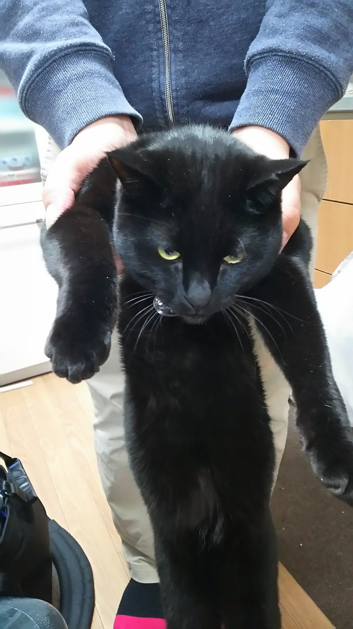 中野カコ
