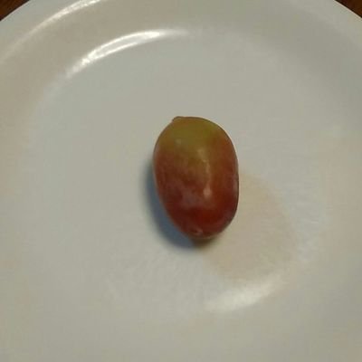 湯豆腐
