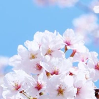 さく