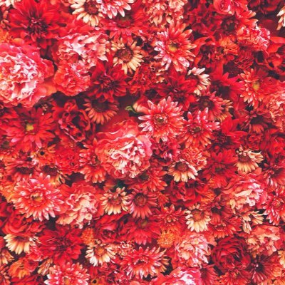 レコポヤドドド