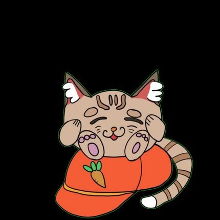 カートーノねこ人参