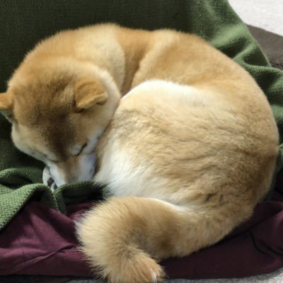 まめきん