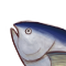 たぬ一