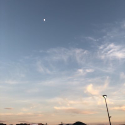 （ハル）