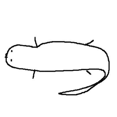 ヌワンギ