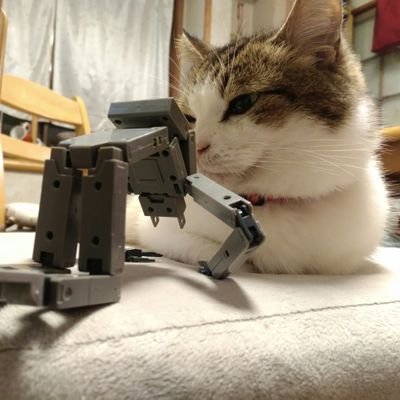 おねショタ大明神とうふめんたる