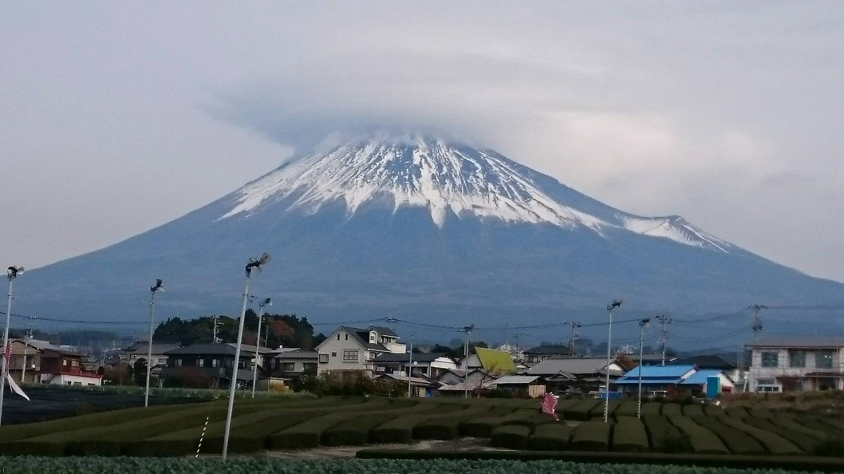 ぬこなべ