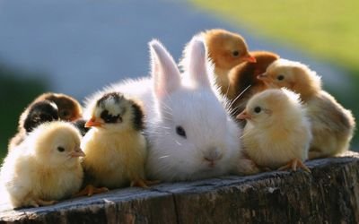 ここ
