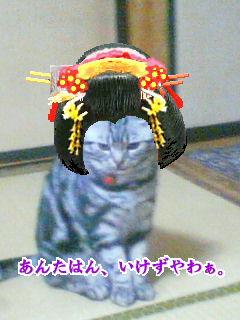 アイリッシュ・ルシアン