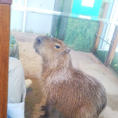 神北家の食卓