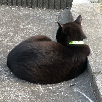 カズ