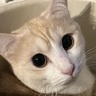 そも△多和家