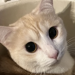 そも△多和家