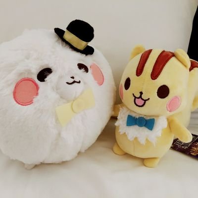 そるてぃも